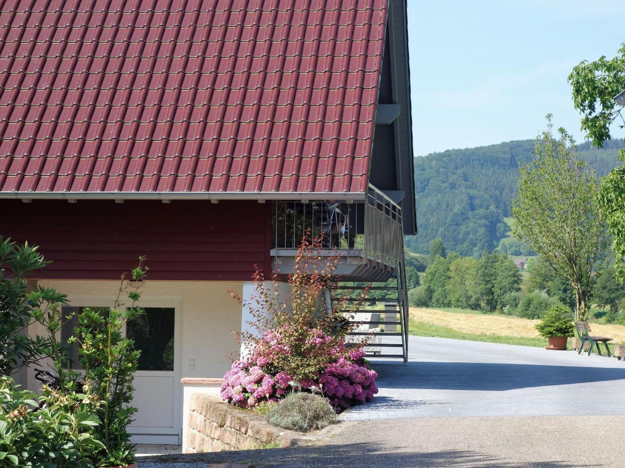 Ferienwohnungen Braun Seelbach  Exterior photo
